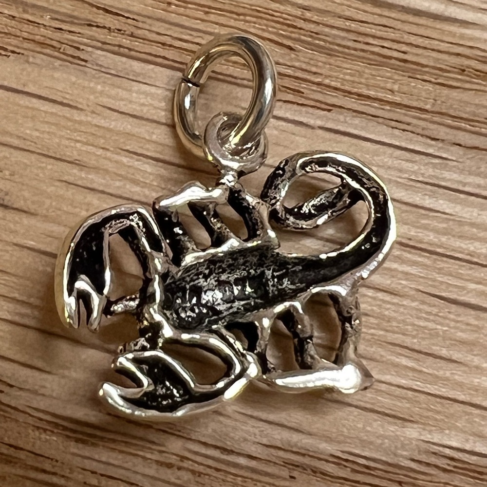 Scorpion Vintage Sterling Silver 925 NOS Charm - Picture 4 of 6